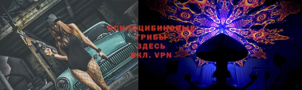 герыч Инта