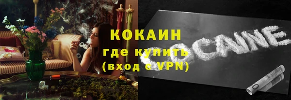 сатива Иннополис
