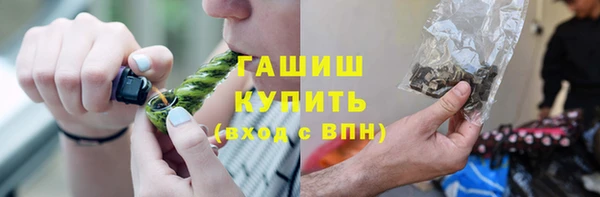 сатива Иннополис