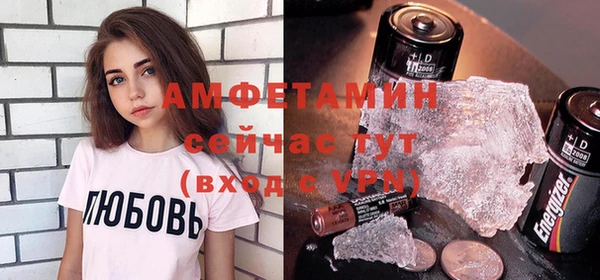 сатива Иннополис