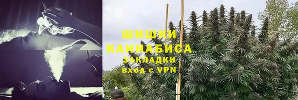 сатива Иннополис