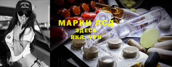 сатива Иннополис