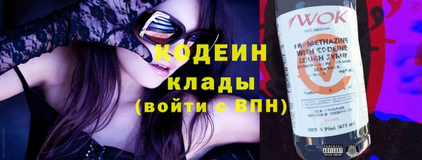 сатива Иннополис