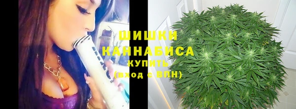 мет Инсар