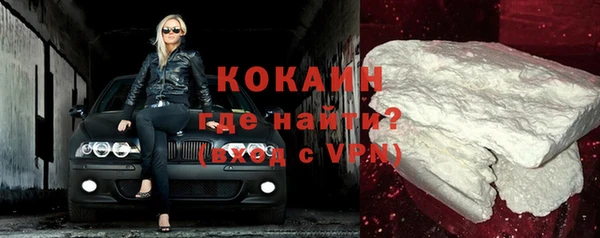 сатива Иннополис